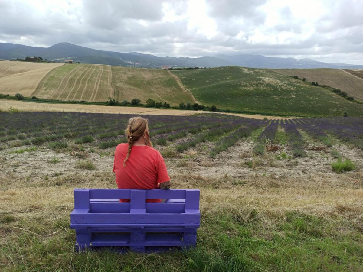 סנטה לוצ'ה Agriturismo Mandriato מראה חיצוני תמונה