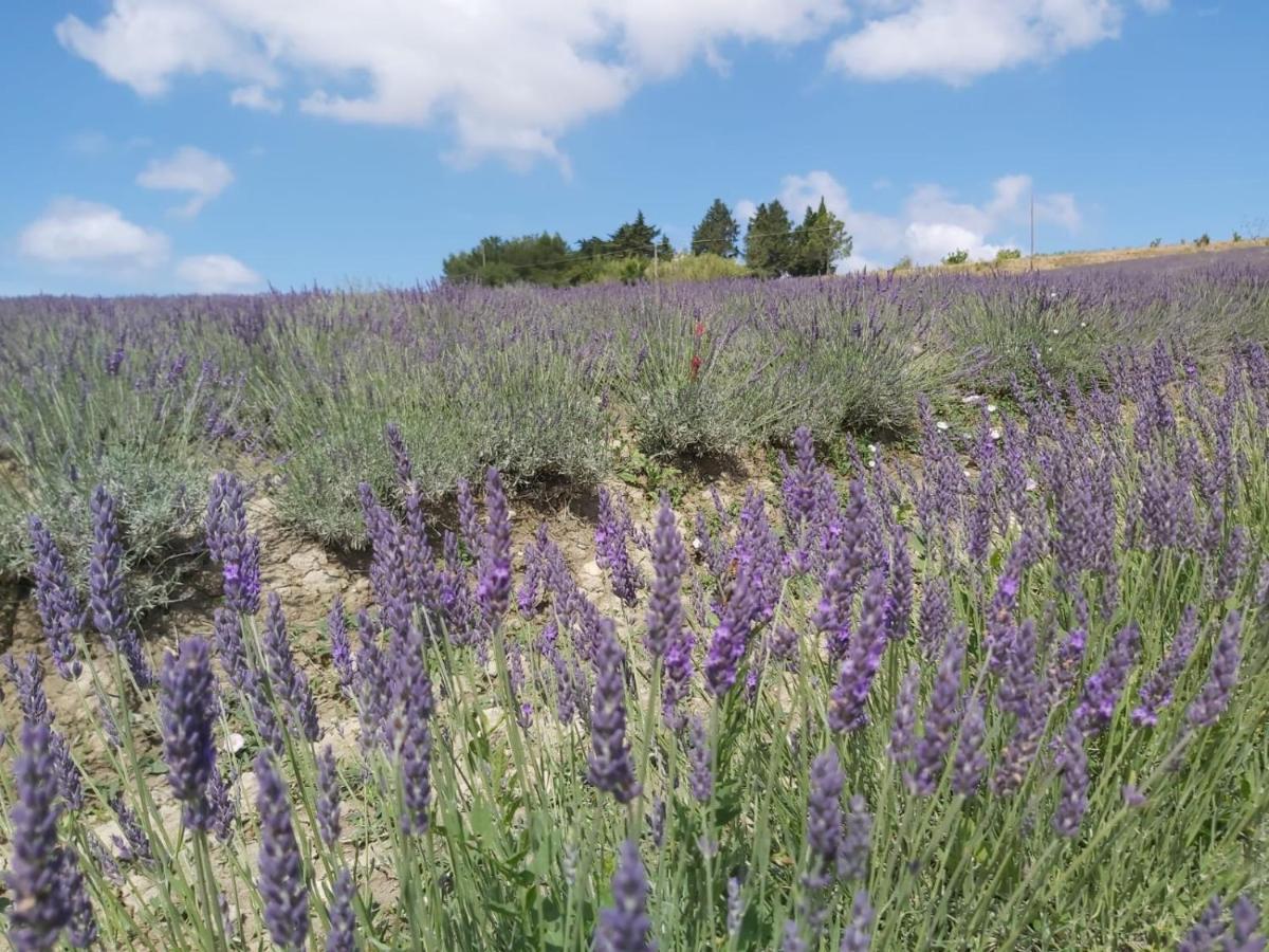 סנטה לוצ'ה Agriturismo Mandriato מראה חיצוני תמונה