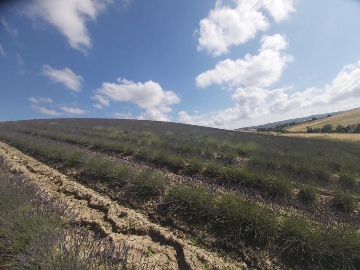 סנטה לוצ'ה Agriturismo Mandriato מראה חיצוני תמונה