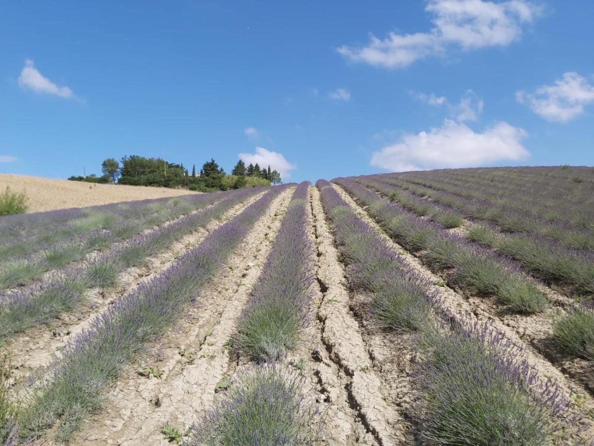סנטה לוצ'ה Agriturismo Mandriato מראה חיצוני תמונה