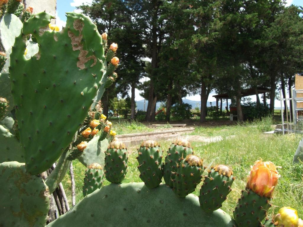 סנטה לוצ'ה Agriturismo Mandriato מראה חיצוני תמונה